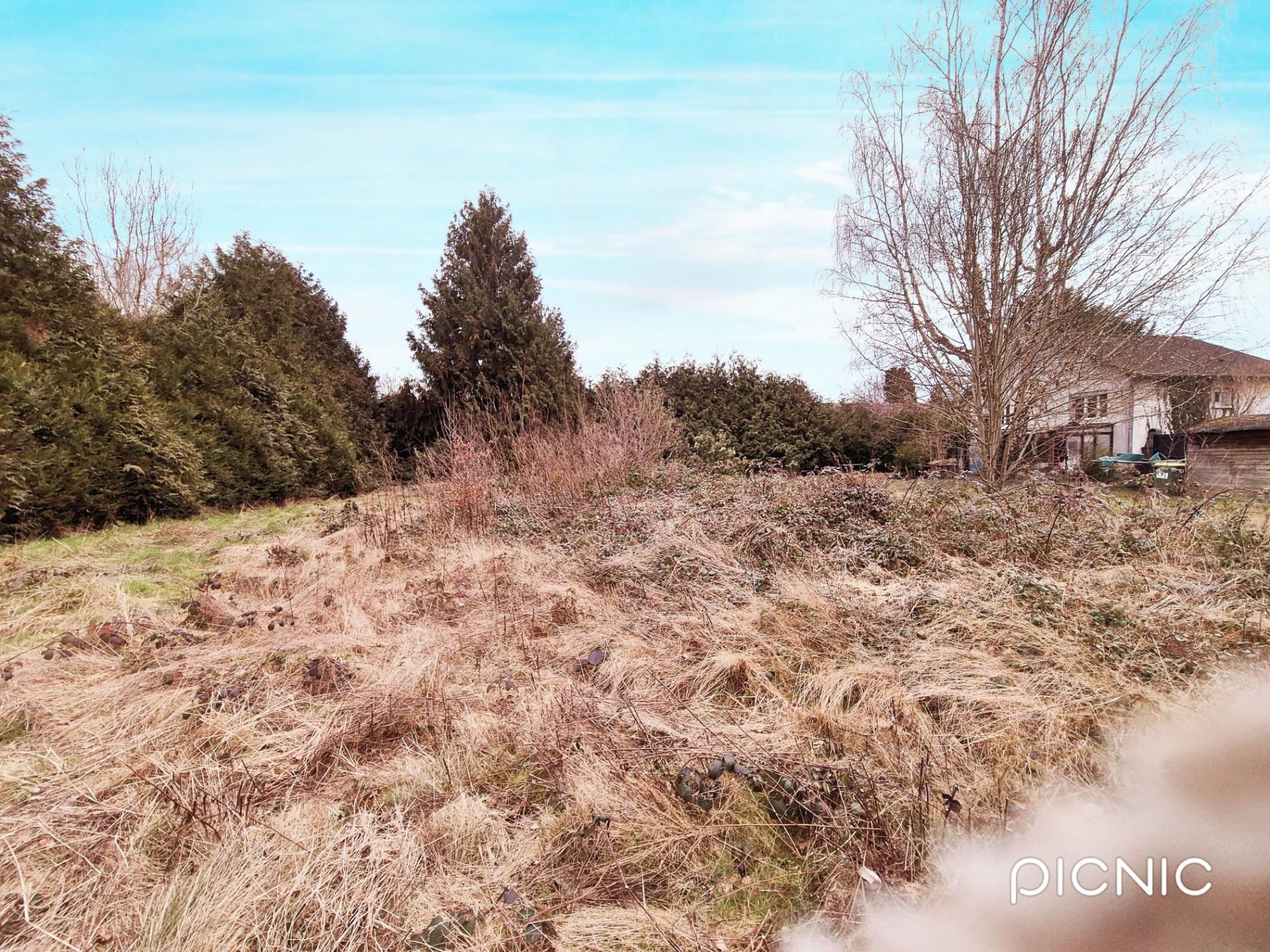 ORGERUS TERRAIN CONSTRUCTIBLE