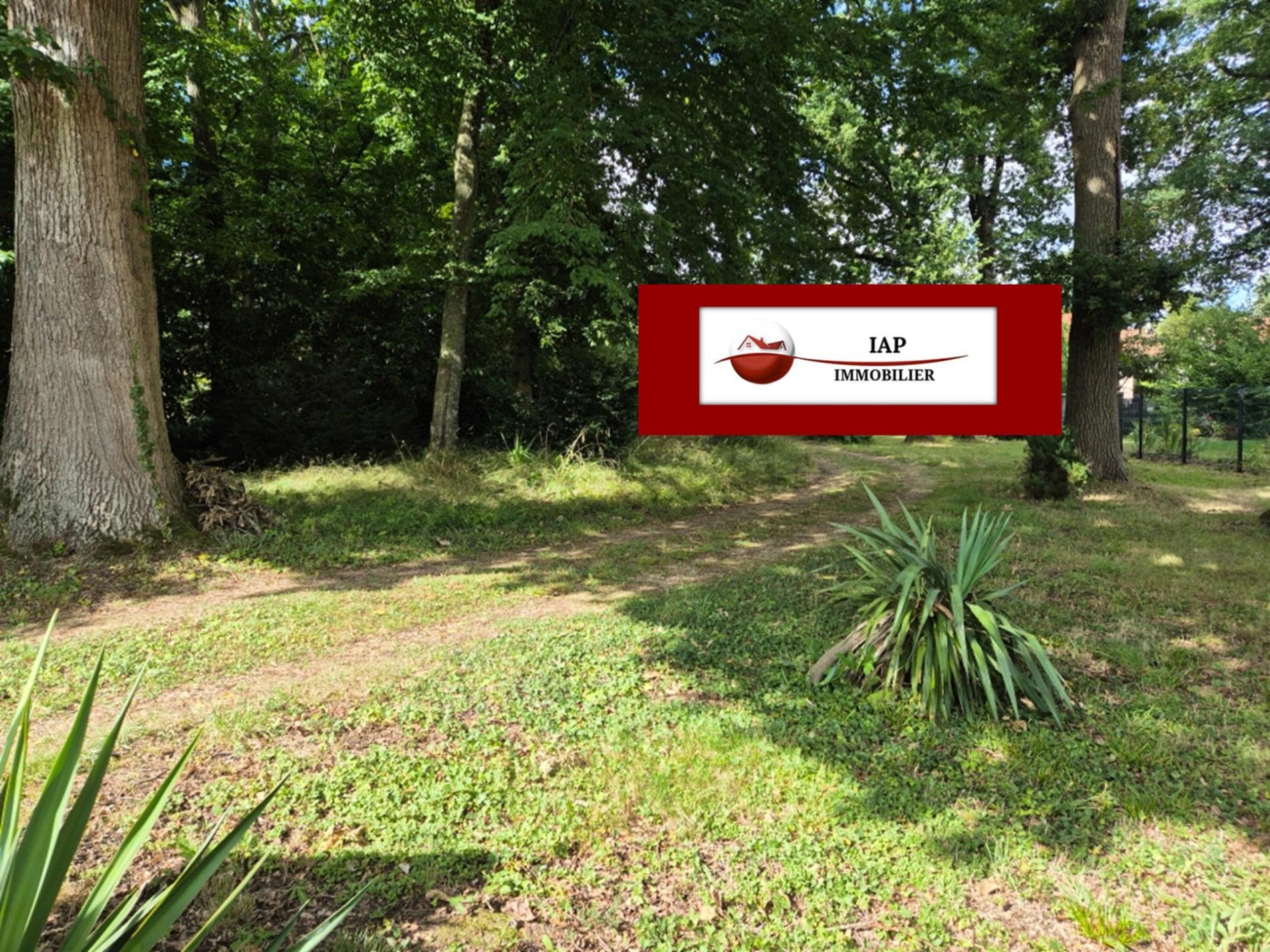 ORGERUS TOUT A PIED TERRAIN 970 M2