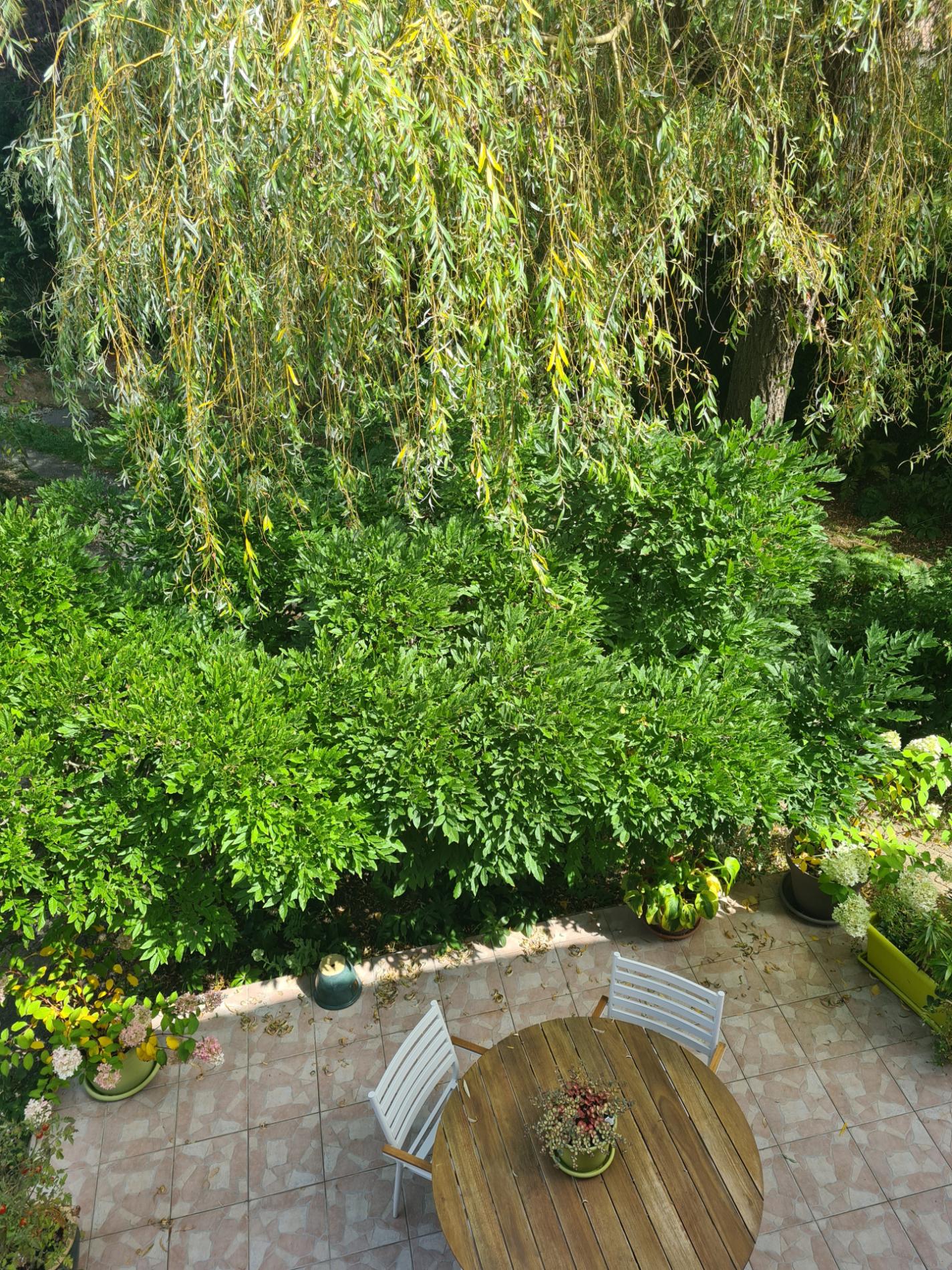 Proche de THOIRY. MAISON ANCIENNE SUR 390 M2 DE TERRAIN CLOS