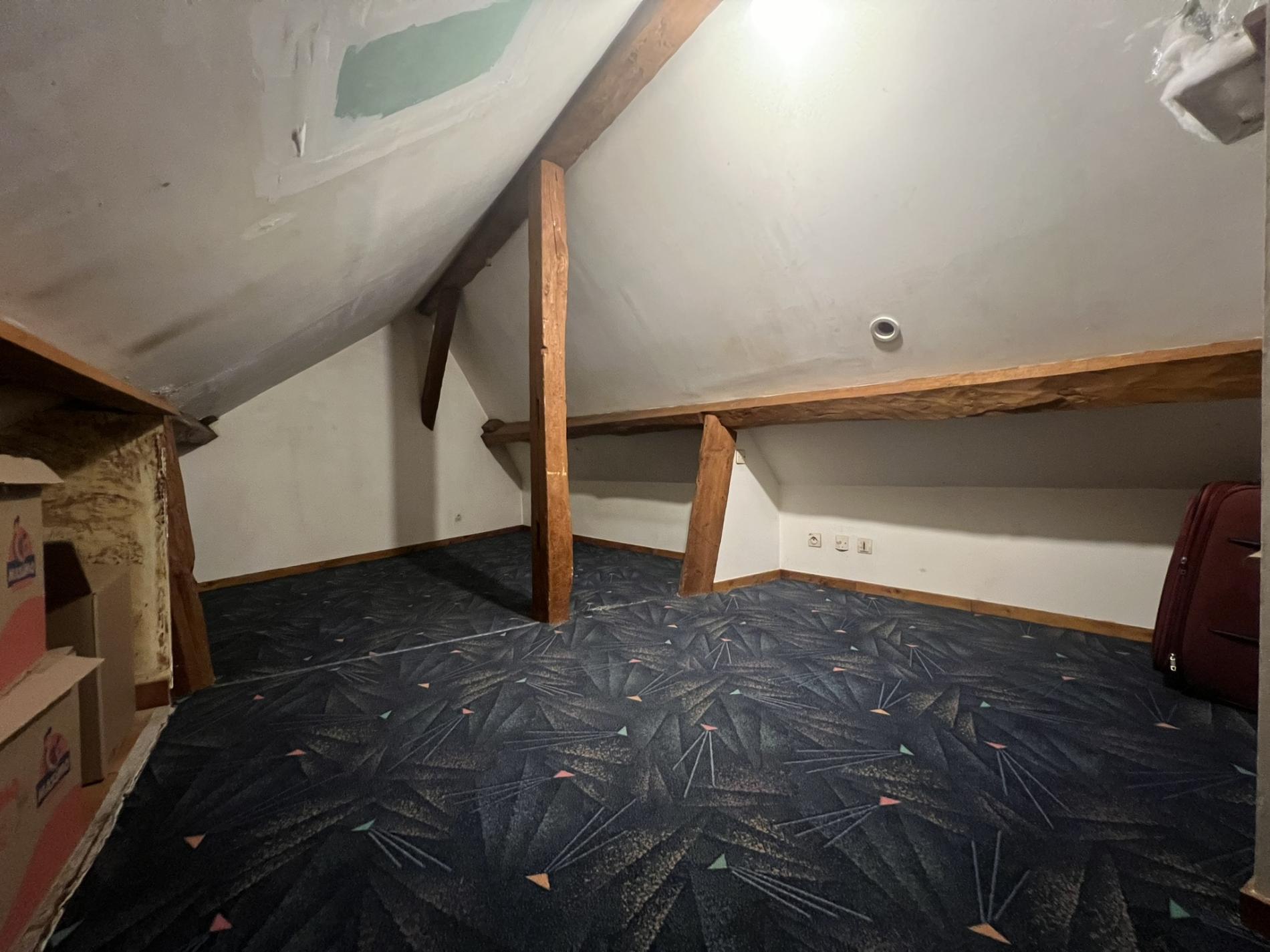 Proche de THOIRY. MAISON ANCIENNE SUR 390 M2 DE TERRAIN CLOS