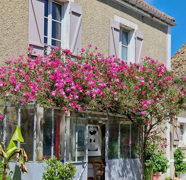 MAISON ANCIENNE. VOLUMES AGREABLES.