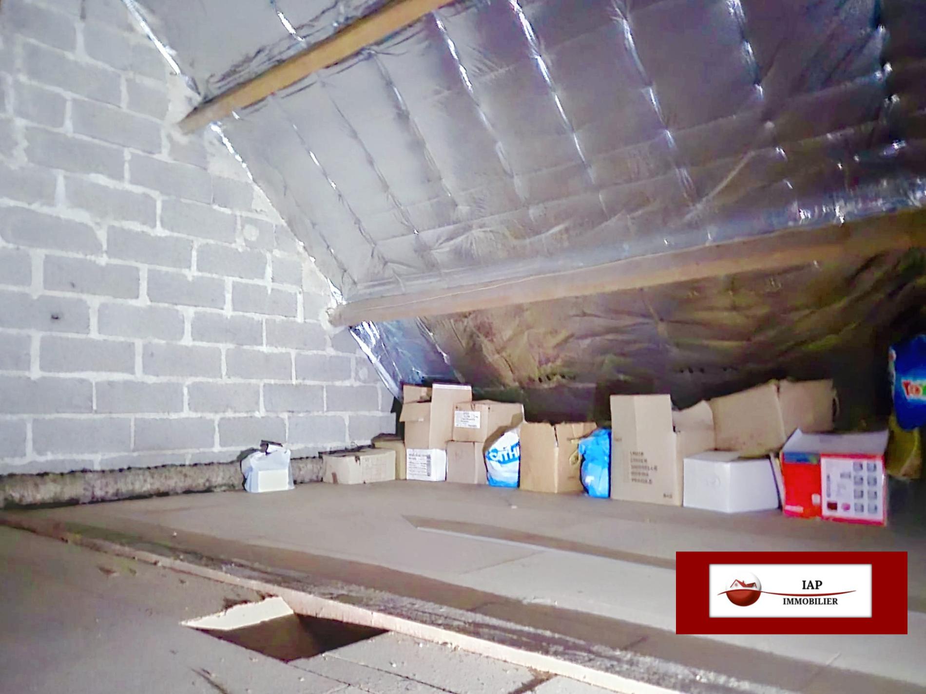 EXCLUSIVITE. ENSEMBLE DE 2 MAISONS. ORGERUS TOUT A PIED SUR 671 M2